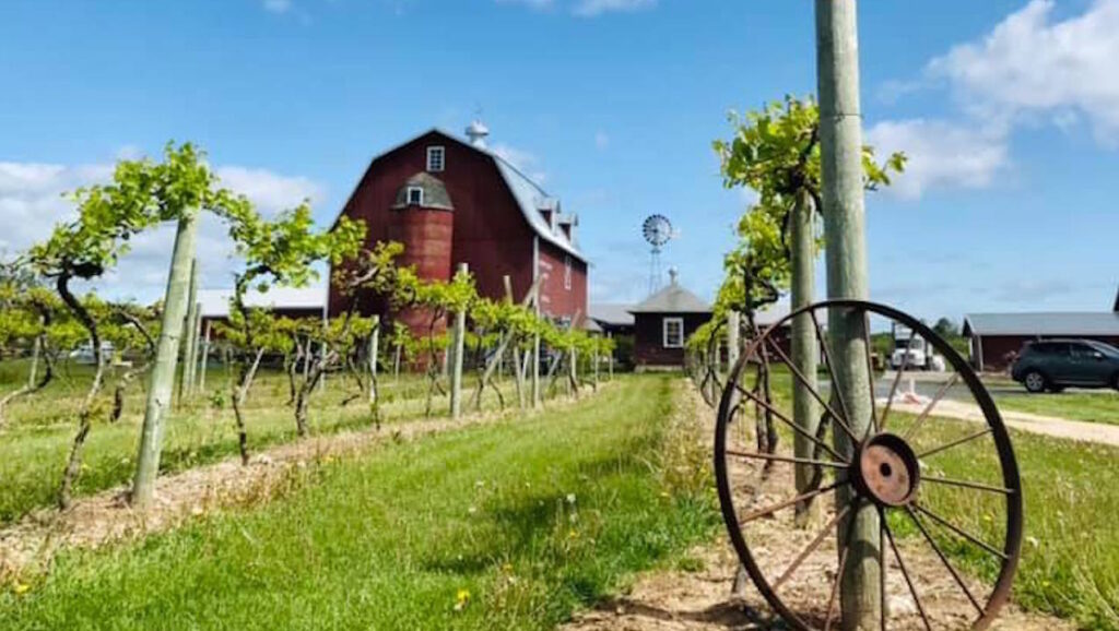 door county wine tours